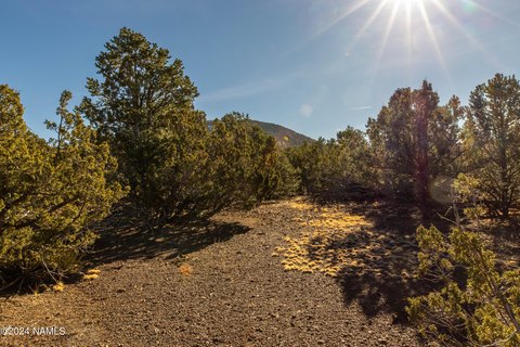 Land in Red Lake Estates