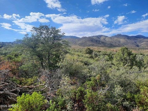 LAND - Globe, AZ