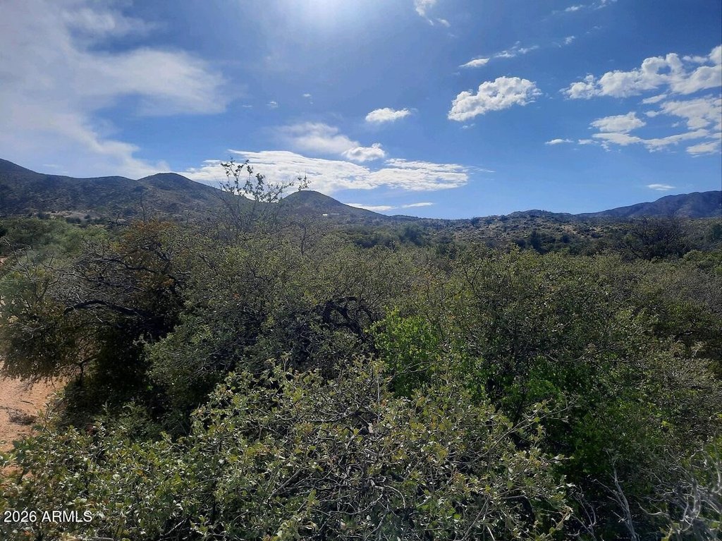 Picture 12