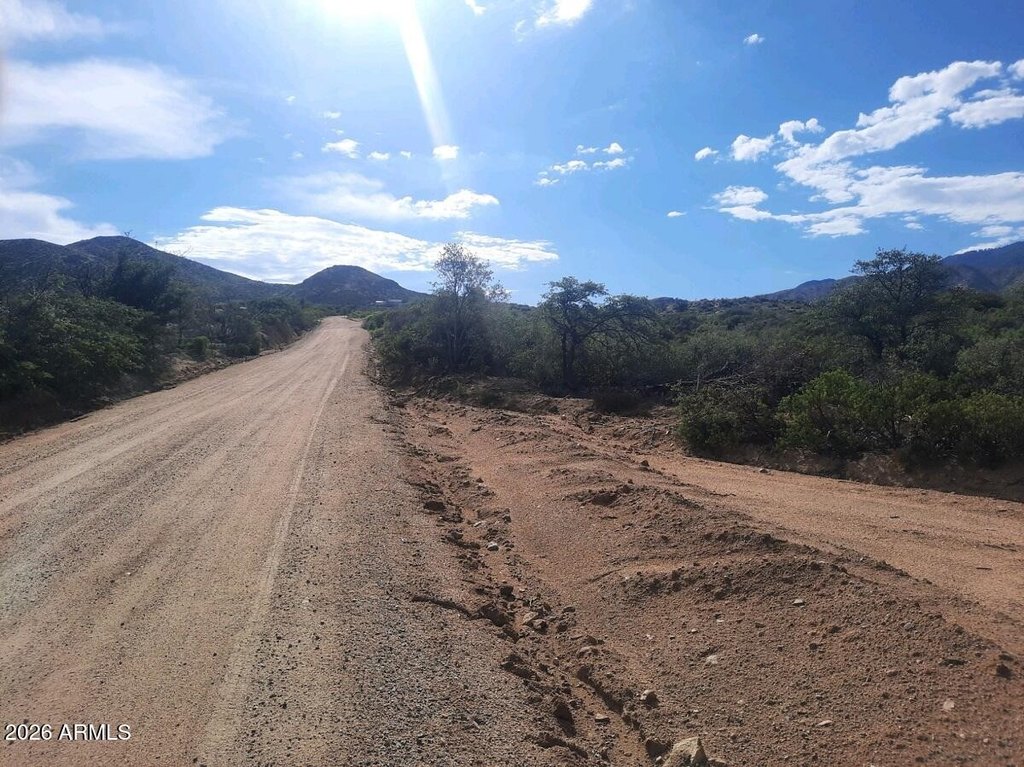 Picture 13