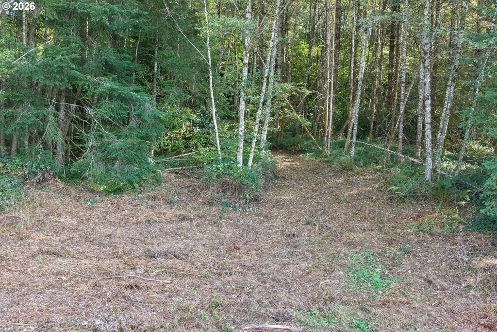 Picture 16