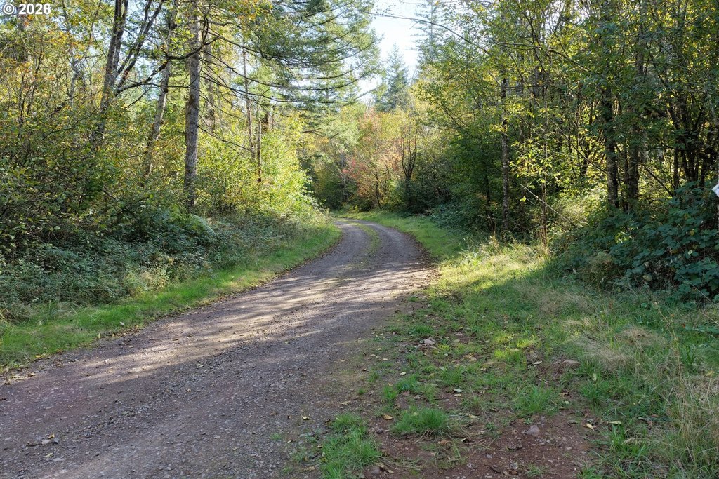 Picture 26