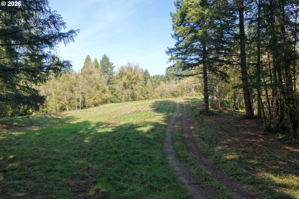 Picture 17