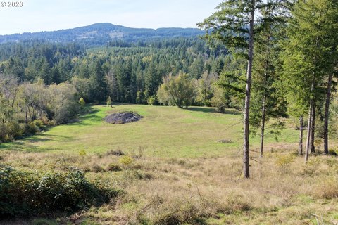 Land, Camas, WA