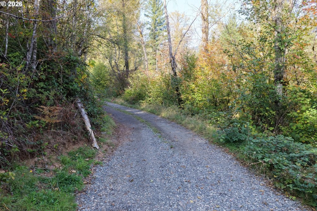 Picture 25
