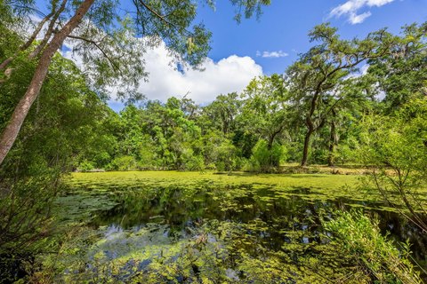 Johns Island Equestrian Land Parcel
