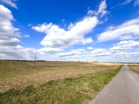 Kentucky Farmland Auction Opportunity