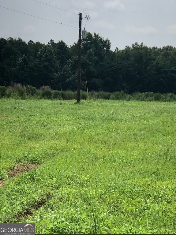 Picture 3