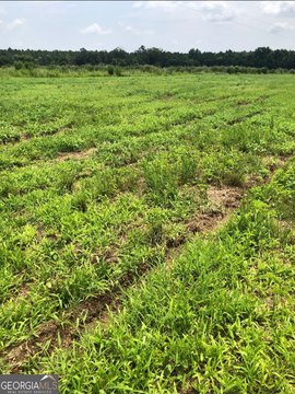LAND - Uvalda, GA