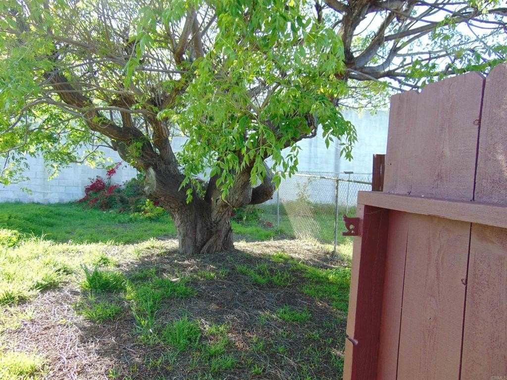 Picture 25