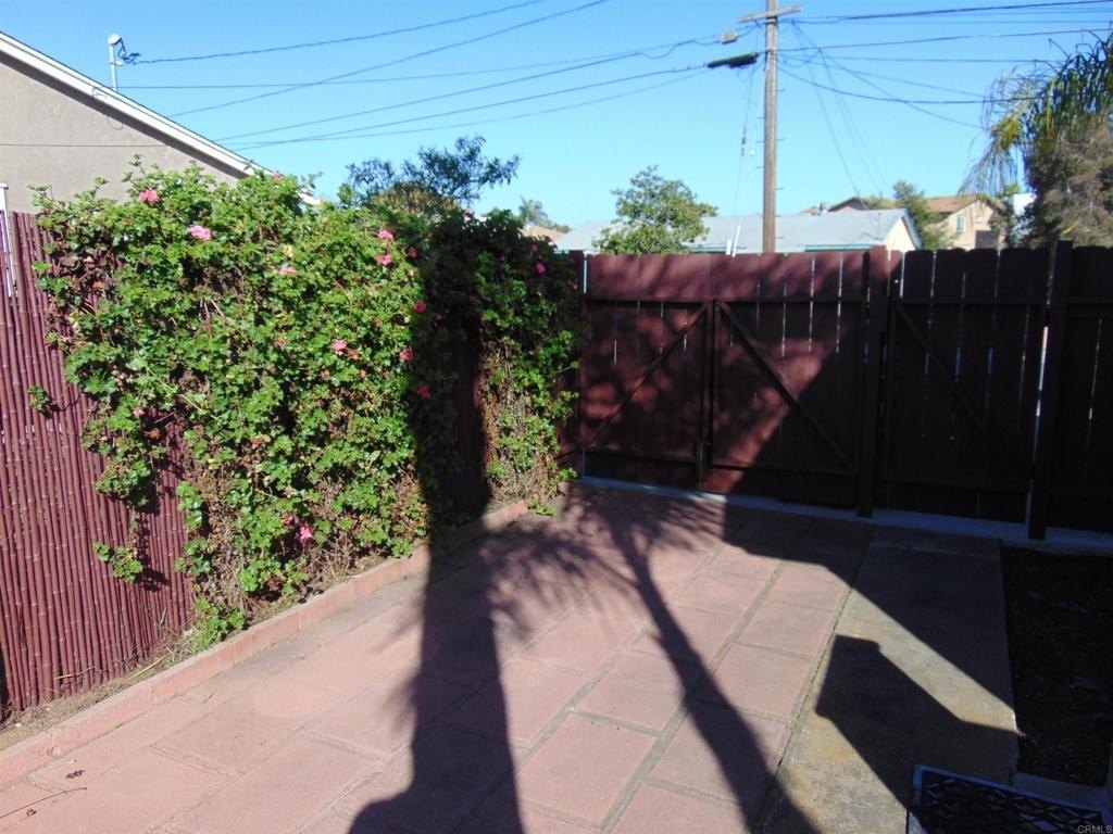 Picture 15