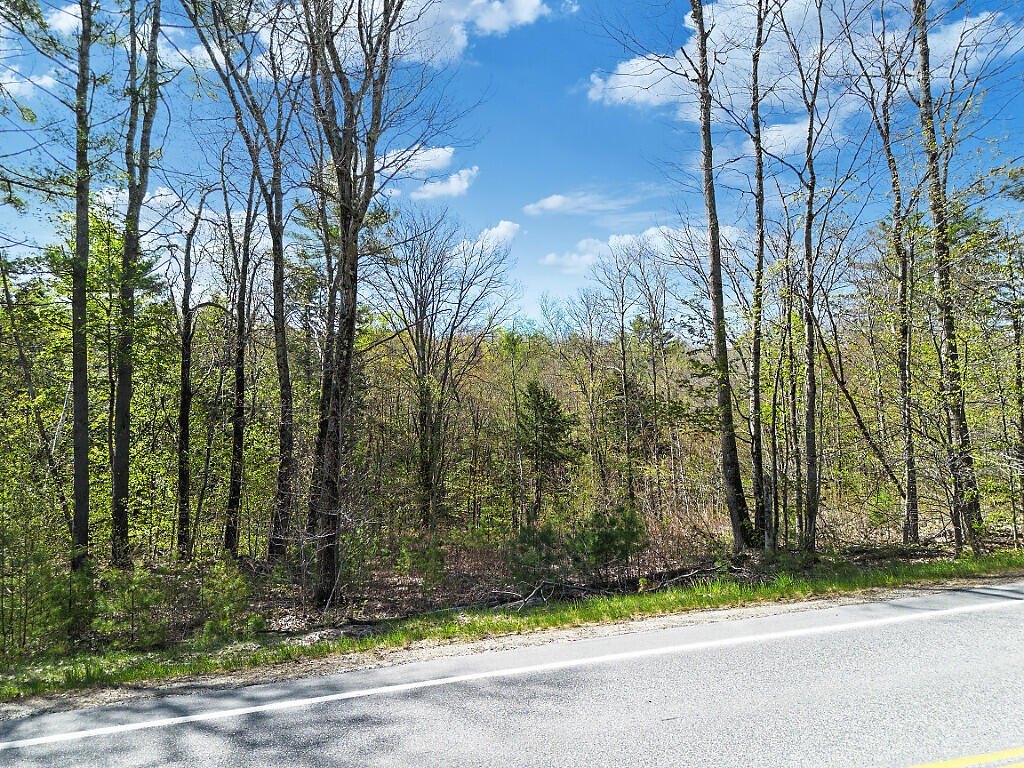 Picture 22