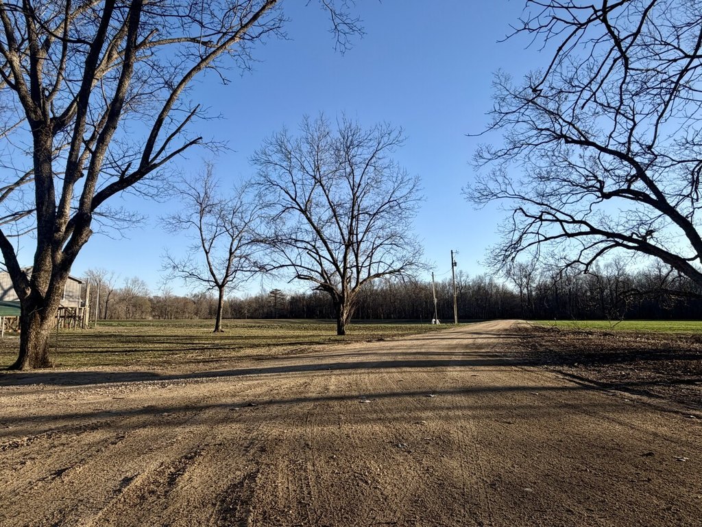 Picture 16