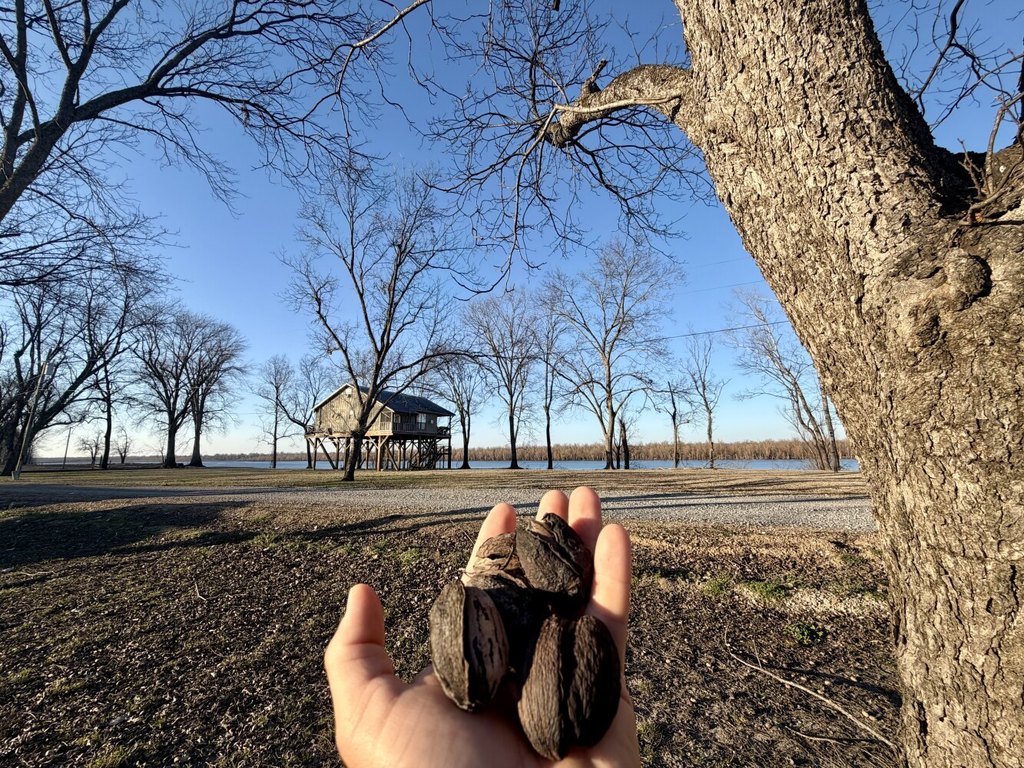 Picture 18