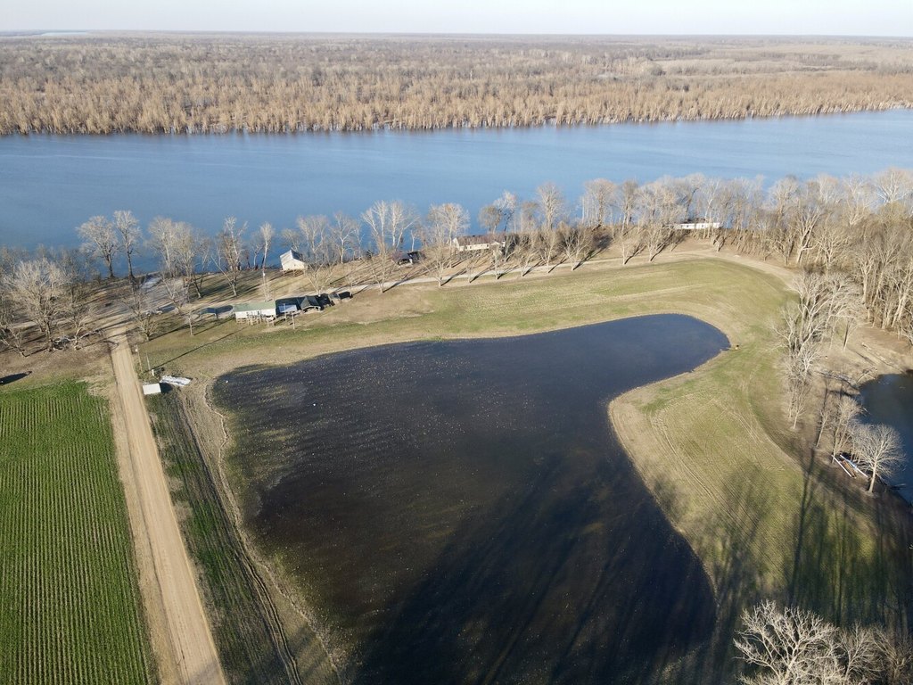Picture 29