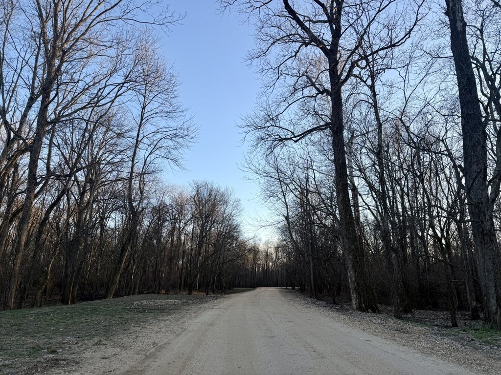 Picture 20