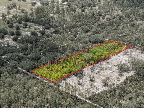 LAND - BRONSON, FL