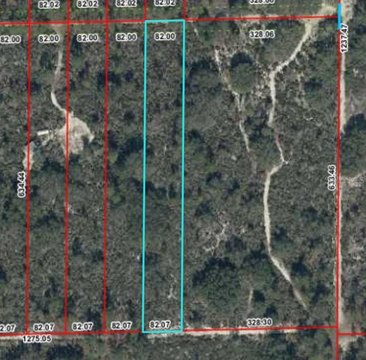 Land, BRONSON, FL