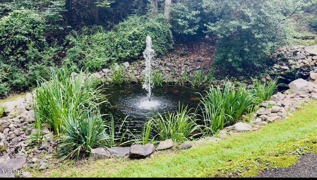 Picture 20