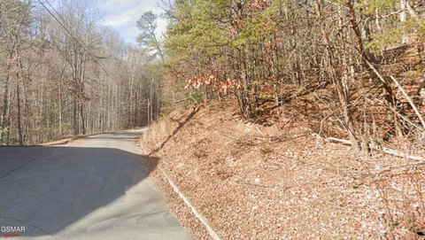 Wooded Lot in Premier Subdivision