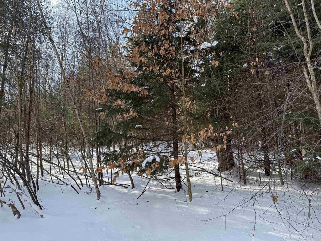 Picture 17