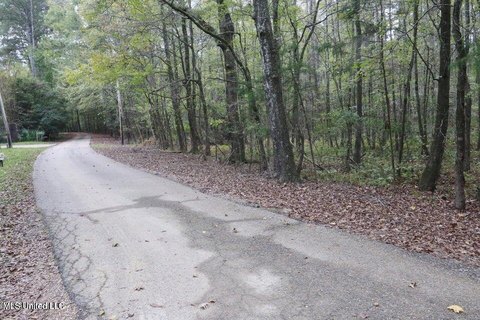 Waterfront Lake Access Land