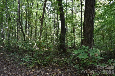 Land, Lincolnton, NC