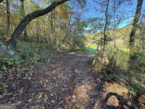 Land in Blue Ridge, GA
