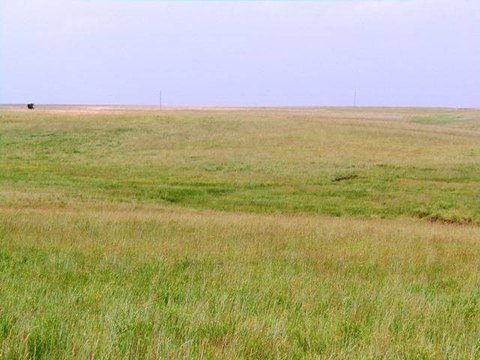 Agricultural Land with Pond Potential