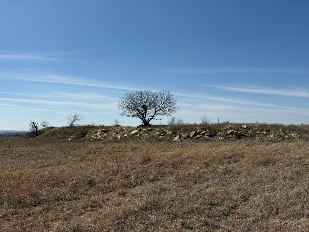 Picture 30