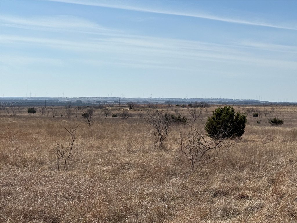 Picture 28