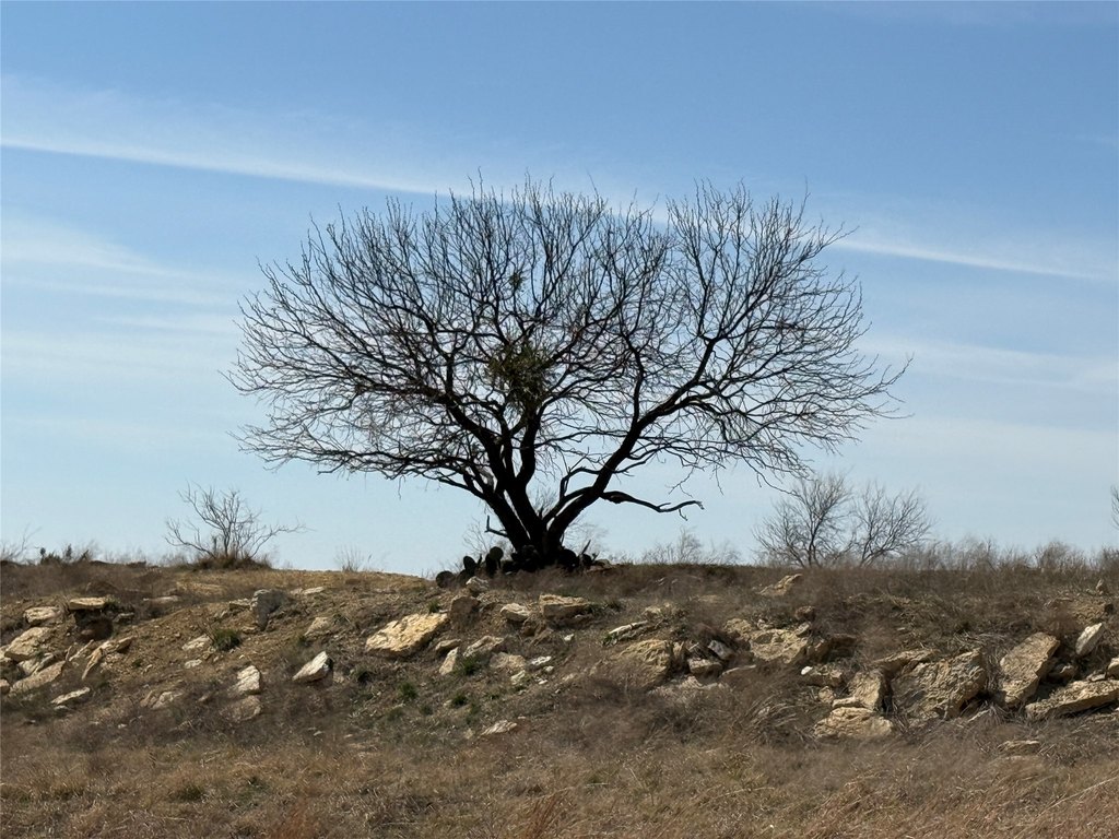 Picture 29