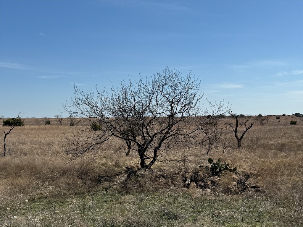 Picture 21
