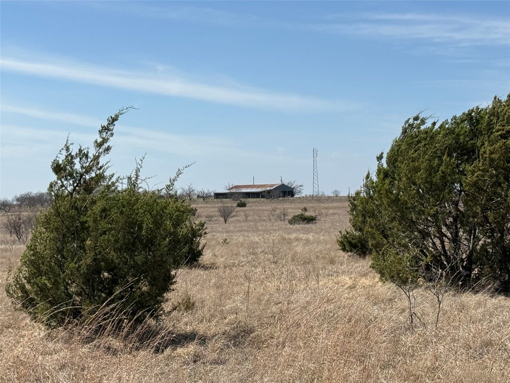 Picture 27