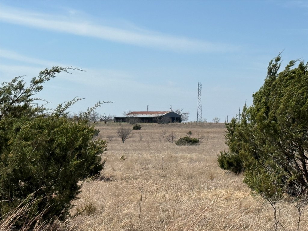 Picture 26