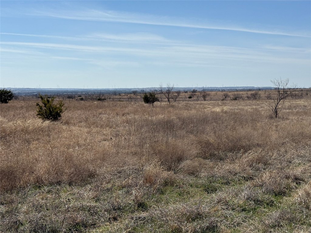 Picture 25