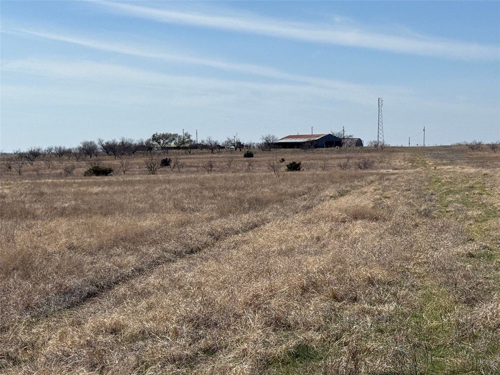 Picture 23