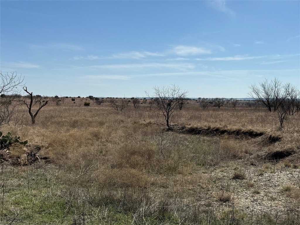 Picture 20