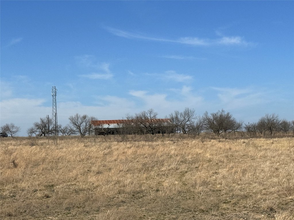 Picture 33