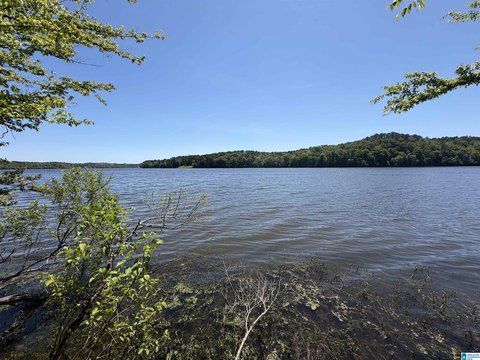 LAND/LOTS, SYLACAUGA, AL