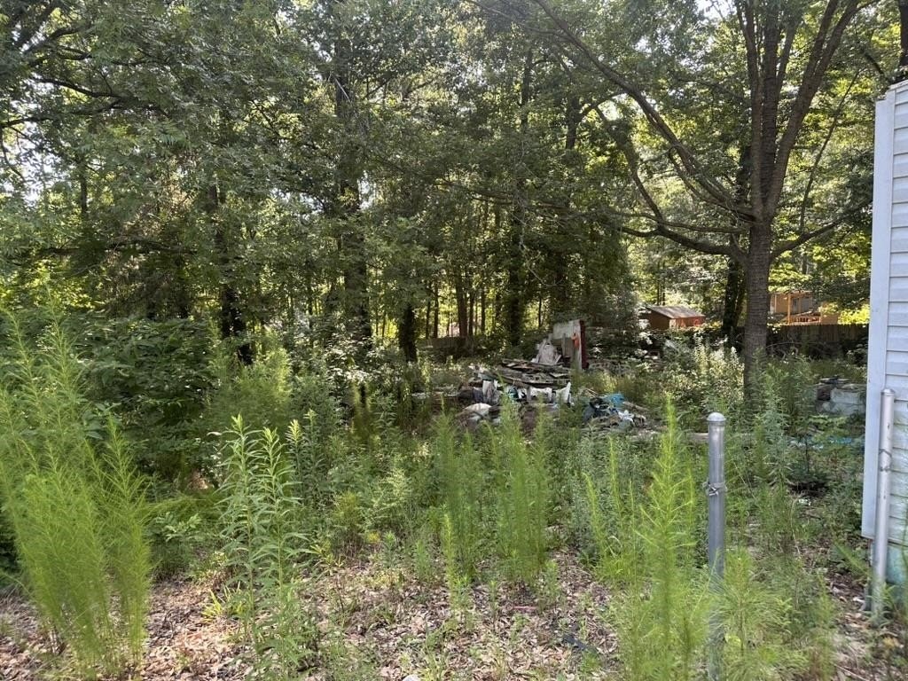 Picture 5