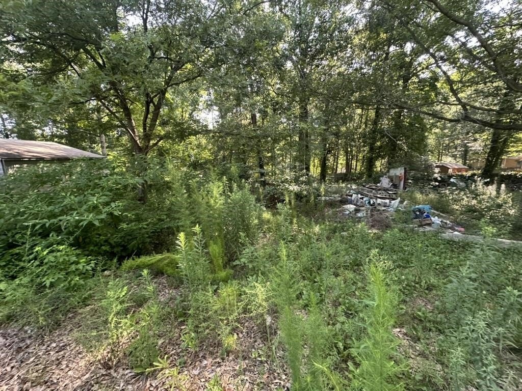 Picture 6