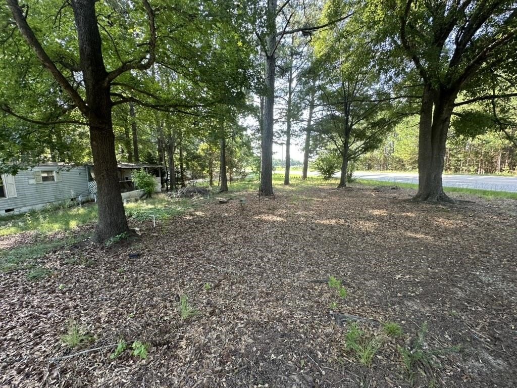 Picture 2