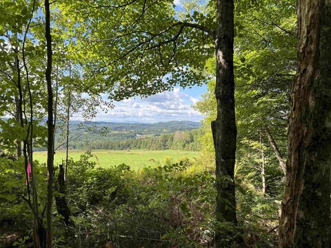 LAND - Cabot, VT