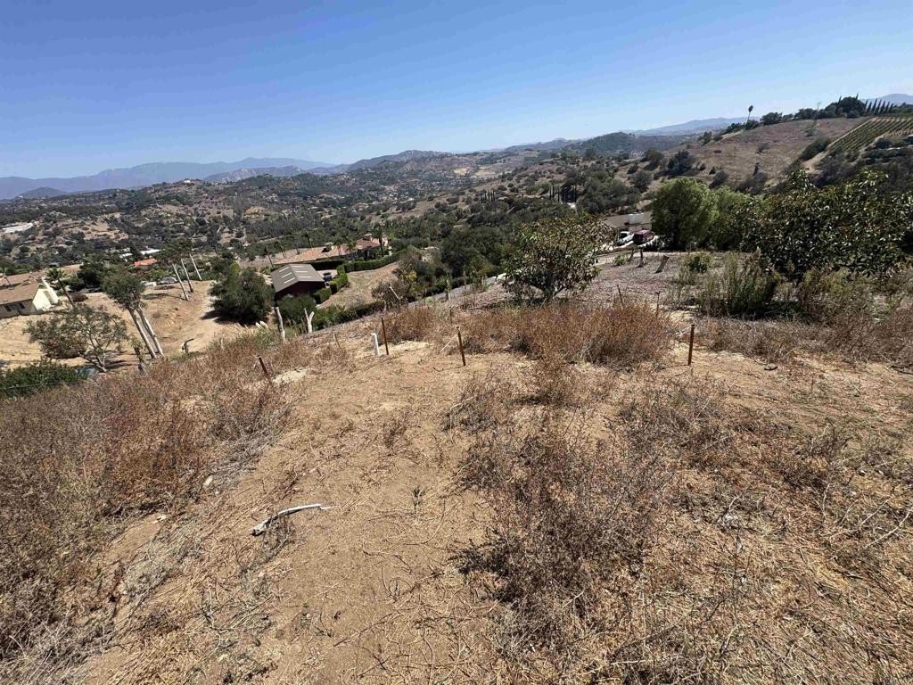 Picture 22