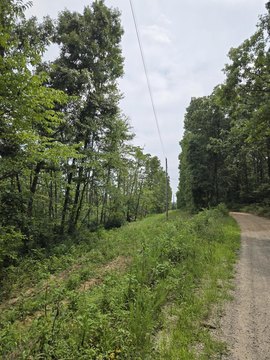 Land, Norwood, MO