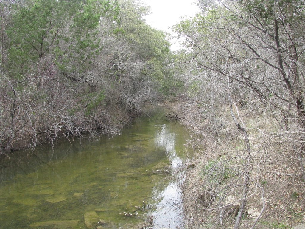 Picture 7