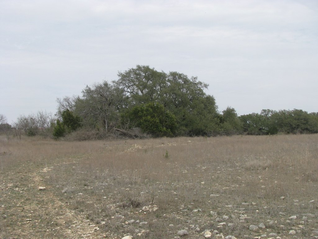 Picture 19