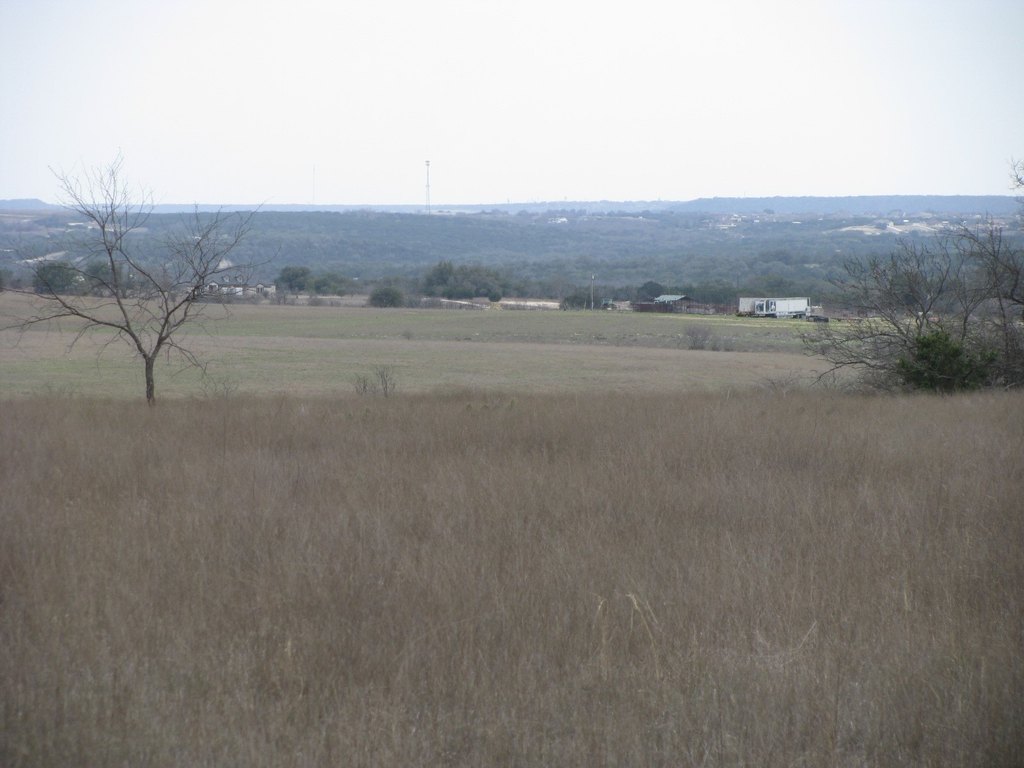 Picture 15
