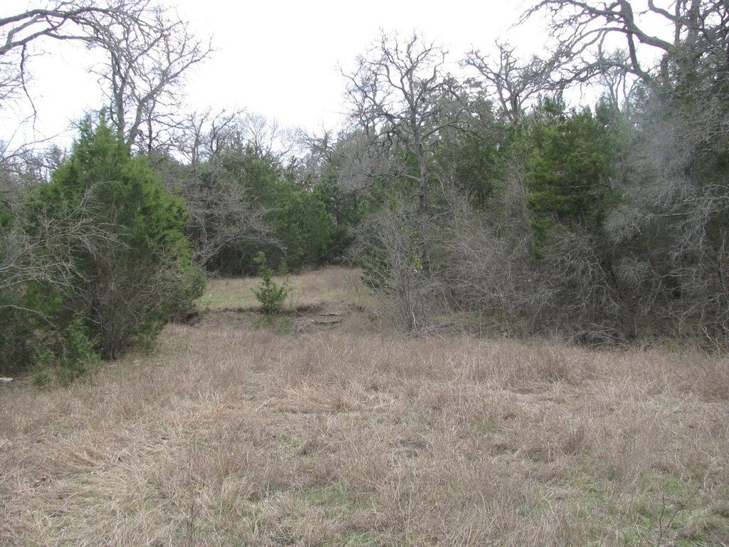 Picture 22